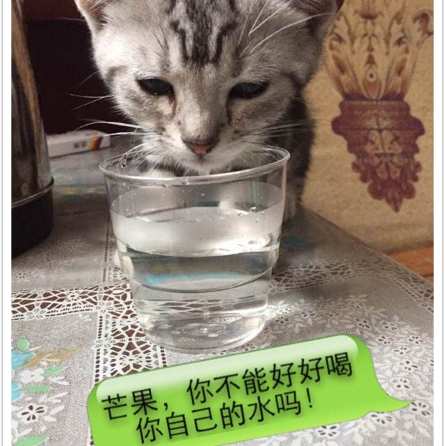 俄亥俄州立大学Designdegreecertificate
